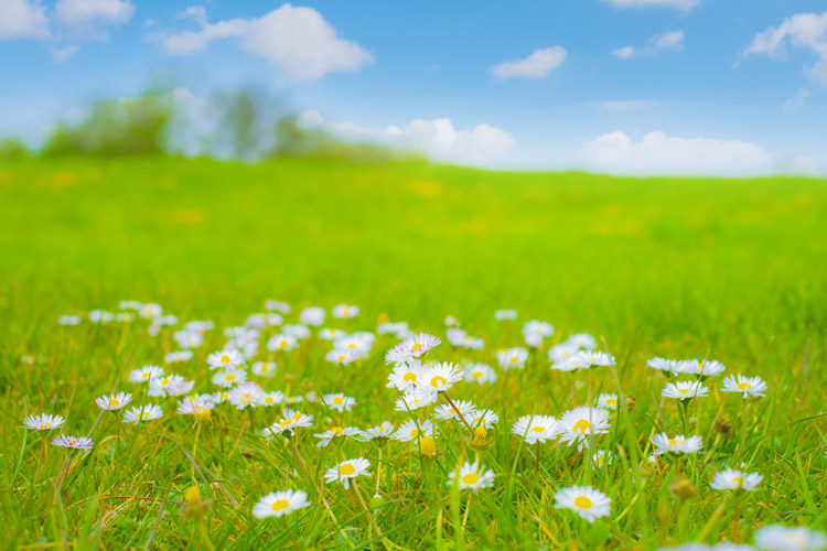 日本推命学館・岩手教室 泰望/結婚・相性